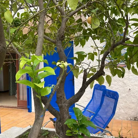 Carmen à Quelques Mètres De La Mer Appartement